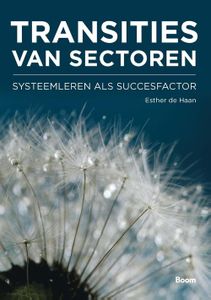 Transities van sectoren - Esther de Haan - ebook