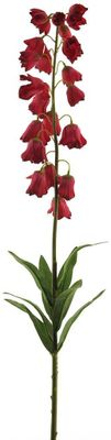 Campanula spray red 92cm