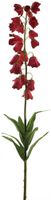 Campanula spray red 92cm