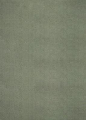 Karpet24 Loft - Luxe, Fluweelzacht Effen Vloerkleed in Donkergroen, Modern & Stijlvol-120 x 160 cm
