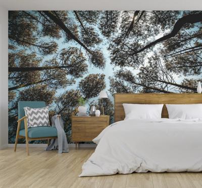 Fotobehang bomen boomtoppen