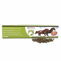 Excellent Equi Parex