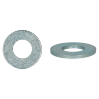pgb-Europe PGB-FASTENERS | Sluitr. NF25-513Z M24 Zn (25/45/4)/DS | 50 st NF25513Z00102403