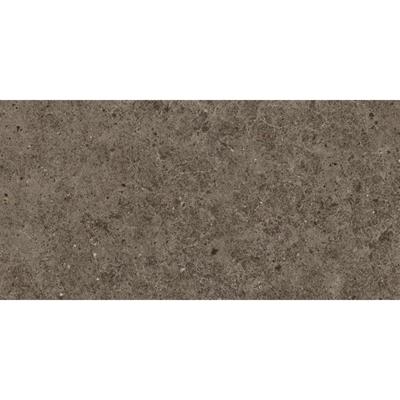 Atlas Concorde Boost Stone A6R5 vloertegel 30X60cm 9mm mat rect. R10 tobacco