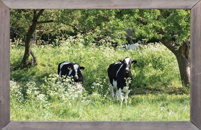 lijst hout fl.kruid koe 140x90cm Tuindoek - Customize it