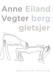 Eiland berg gletsjer - Anne Vegter - ebook