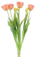 PSO Double Tulip bundle Sally peach 44 cm kunstbloemen - Nova Nature