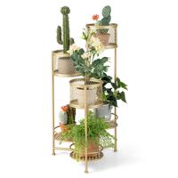 Inklapbare Metalen Plantstandaard met 6 Niveaus Bloempotstandaard met Meerdere Niveaus voor 6 Potplanten Decoratieve Gouden Plantendisplay