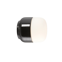 Ifo Electric - Ohm 100/110 LED Plafondlamp/Wandlamp