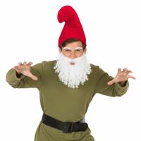 Kabouter set - baard - wit - puntmuts - rood - carnaval - verkleden