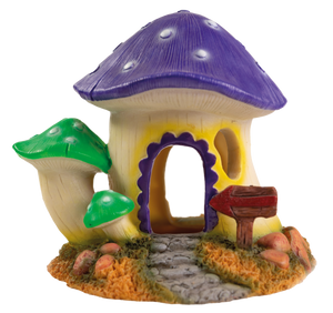 Mushroom House M