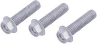 TRW bouten-set screw set 3pcs. m8x1,25