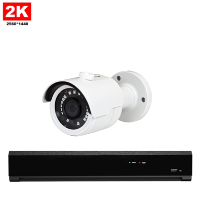 1x Professionele 2K IP Camera Bewakingsset - 2K POE NVR Recorder - 8 Kanaals - Nachtzicht & 1TB Opslag