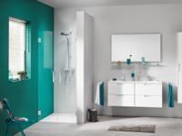 Sealskin Get Wet I Am Pendeldeur 80x200cm RVS/Helder glas