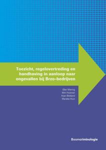 Toezicht, regelovertreding en handhaving in aanloop naar ongevallen bij Brzo-bedrijven (Paperback)