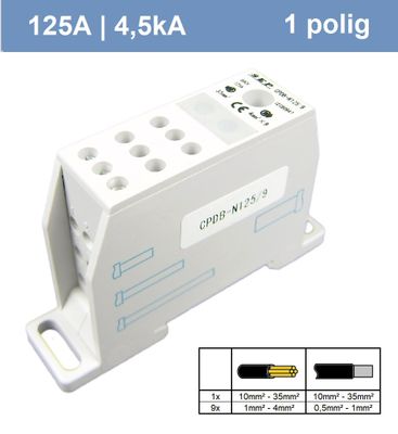 SEP 1polig 125A 4,5kA (1x in, 9x uit)