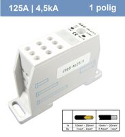 SEP 1polig 125A 4,5kA (1x in, 9x uit)