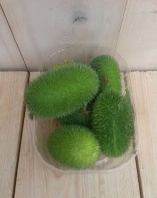 Decoratievruchten groen - Warentuin mix