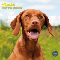 Vizsla Kalender 2026