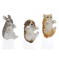 Decoratieve figuren Home ESPRIT Wit Bruin Grijs Oranje dieren 9 x 9 x 15,5 cm (3 Stuks)