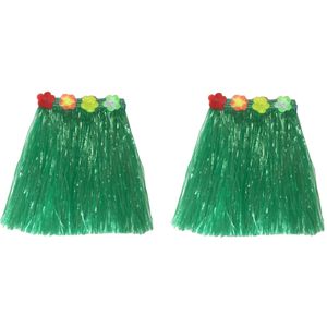 Hawaii thema verkleed rokje - 2x - raffia - groen - 40 cm - volwassenen