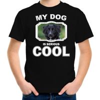 Friese stabij honden t-shirt my dog is serious cool zwart voor kinderen - thumbnail