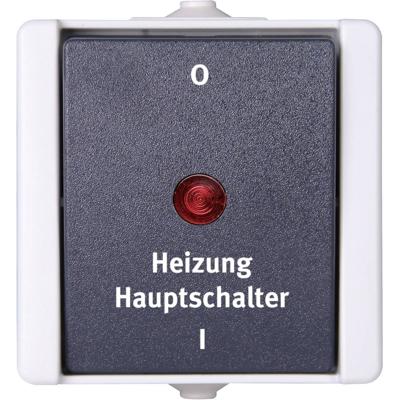 Kopp 541356004 proAQA Compleet Verwarmingsnoodschakelaar spatwaterdicht Grijs 1 stuks 1 stuk(s)