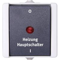 Kopp 541356004 proAQA Compleet Verwarmingsnoodschakelaar spatwaterdicht Grijs 1 stuks 1 stuk(s)