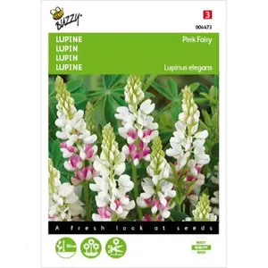 Lupinus, Lupine Rose laag Pink Fairy