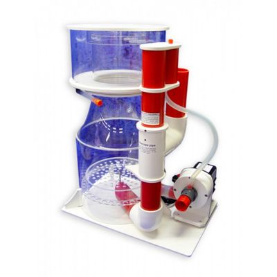 Royal Exclusiv Bubble King de Luxe 300 intern
