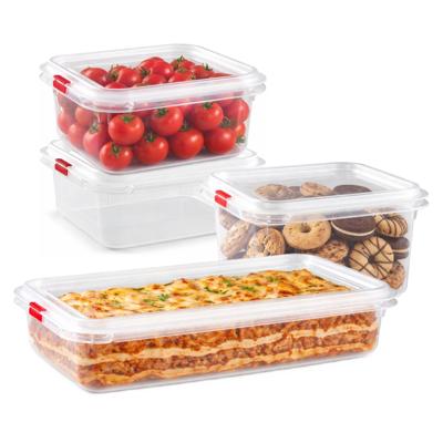 Plasticforte Vershoudbakjes set Frost - 4x stuks - vriezer bakjes - kunststof - diverse maten Plasticforte Vershoudbakjes set Frost - 4x stuks - vriezer bakjes - kunststof - diverse maten