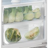 Indesit INS 18011 Inbouw koelkast zonder vriesvak Wit - thumbnail