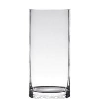 Hakbijl Glass Vaas - cilinder - glas - transparant - 15 x 35 cm