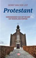 Protestant (Paperback)