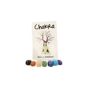 Doorboorde Hangers Chakra (Set)