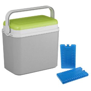 Koelbox grijs/groen 10 liter 30 x 19 x 28 cm incl. 2 koelelementen