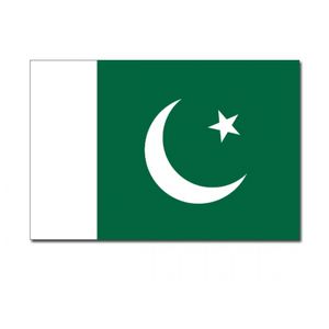 Landen thema vlag Pakistan 90 x 150 cm feestversiering