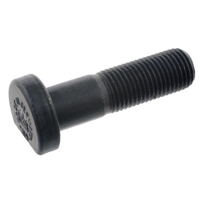 Wielbout 46616