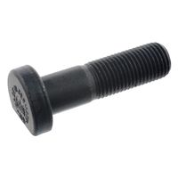 Wielbout 46616