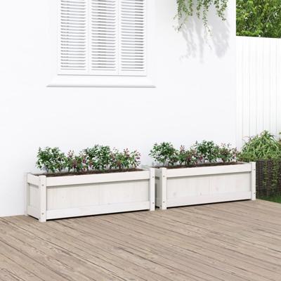 VidaXL Plantenbakken 2 st cm massief grenenhout wit