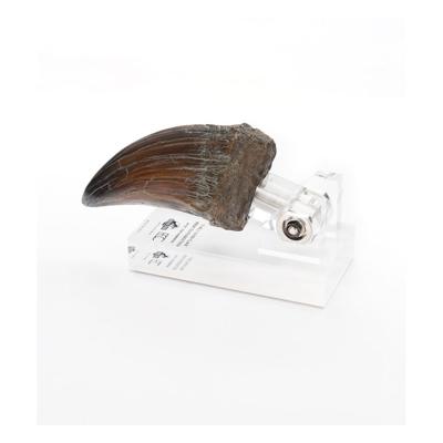 Jurassic Park Statue T-Rex Hand Claw 13 cm Jurassic Park Statue T-Rex Hand Claw 13 cm