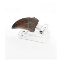 Jurassic Park Statue T-Rex Hand Claw 13 cm - thumbnail