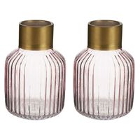 Bloemenvazen 2x stuks - luxe decoratie glas - roze/goud - 12 x 18 cm