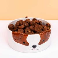 Honden voerbak met hondengezicht