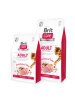 Brit 8595602540822 droogvoer voor kat 2 kg Volwassen Kip, Gevogelte, Turkije