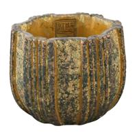 PTMD bloempot valerio m geel 16 cm | 8 stuks