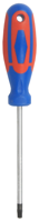 CON-P Con:p schroevendraaier tx25 2c - cpt312925