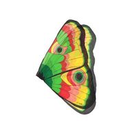 Vlinder verkleed vleugels voor kids gekleurd   -