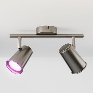 HOFTRONIC SMART Riga Smart LED Plafondlamp 2 spots RVS - Draaibaar en Dimbaar - 2 lichts Dubbel - GU10 RGBWW - Plafondspot woonkamer en gang - Opbouwspot verlichting - Google Home & Amazon Alexa