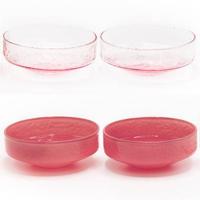 Brût Homeware, Schaaltjes Claude, roze | roze transparant, set van 4